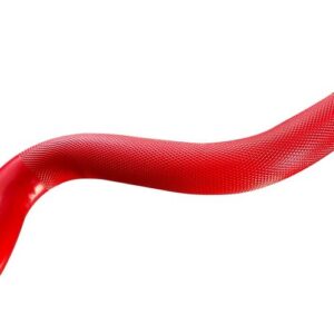 Curl Bar