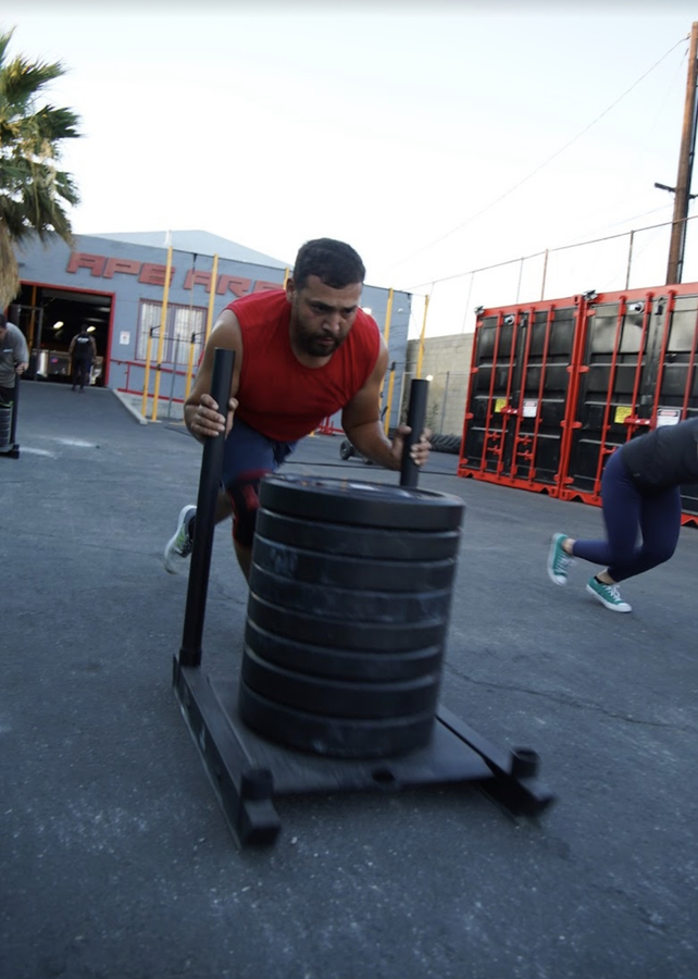 Sled