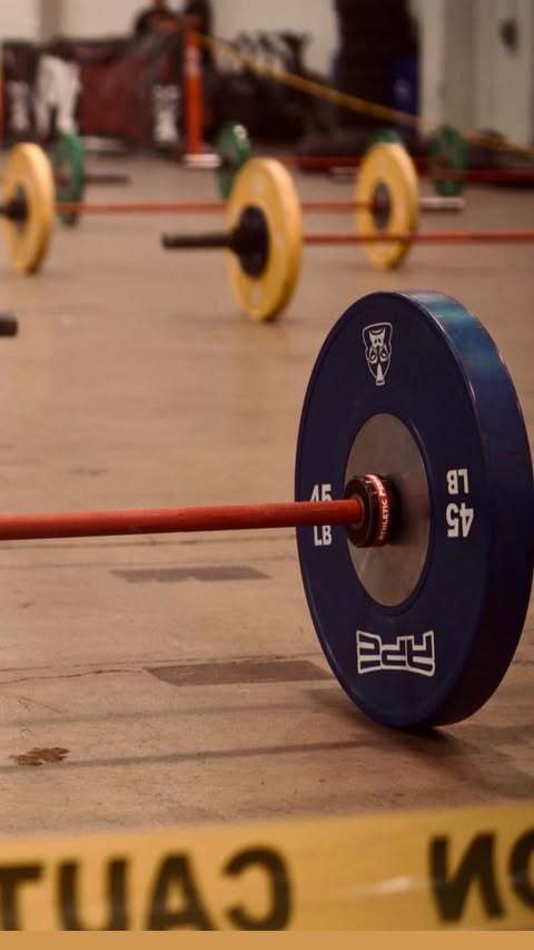 Ape FEMALE Competition Barbell